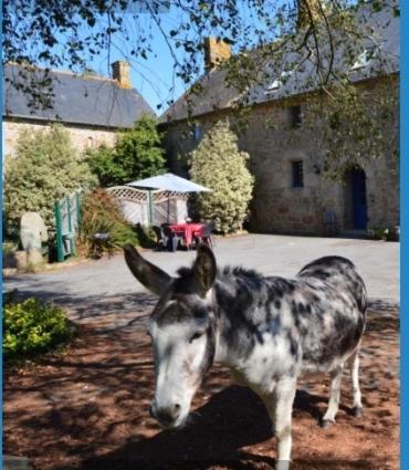 La campagne Bretonne Villa Parigné Esterno foto